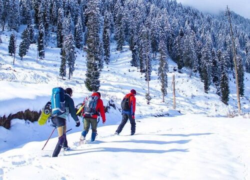 Srinagar - Sonamarg - Gulmarg Tour Package 3 Night 4 Days