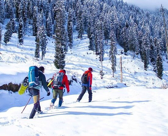 Srinagar - Sonamarg - Gulmarg Tour Package 3 Night 4 Days